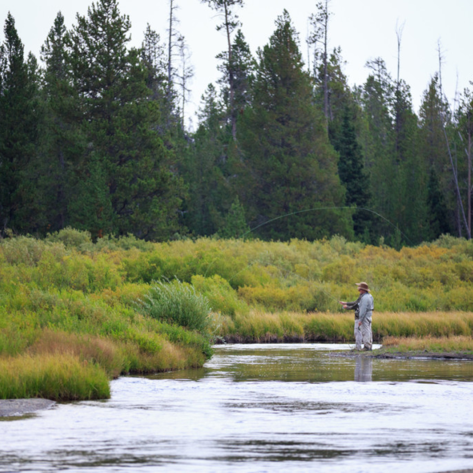 A4A1783 Fly Fishing