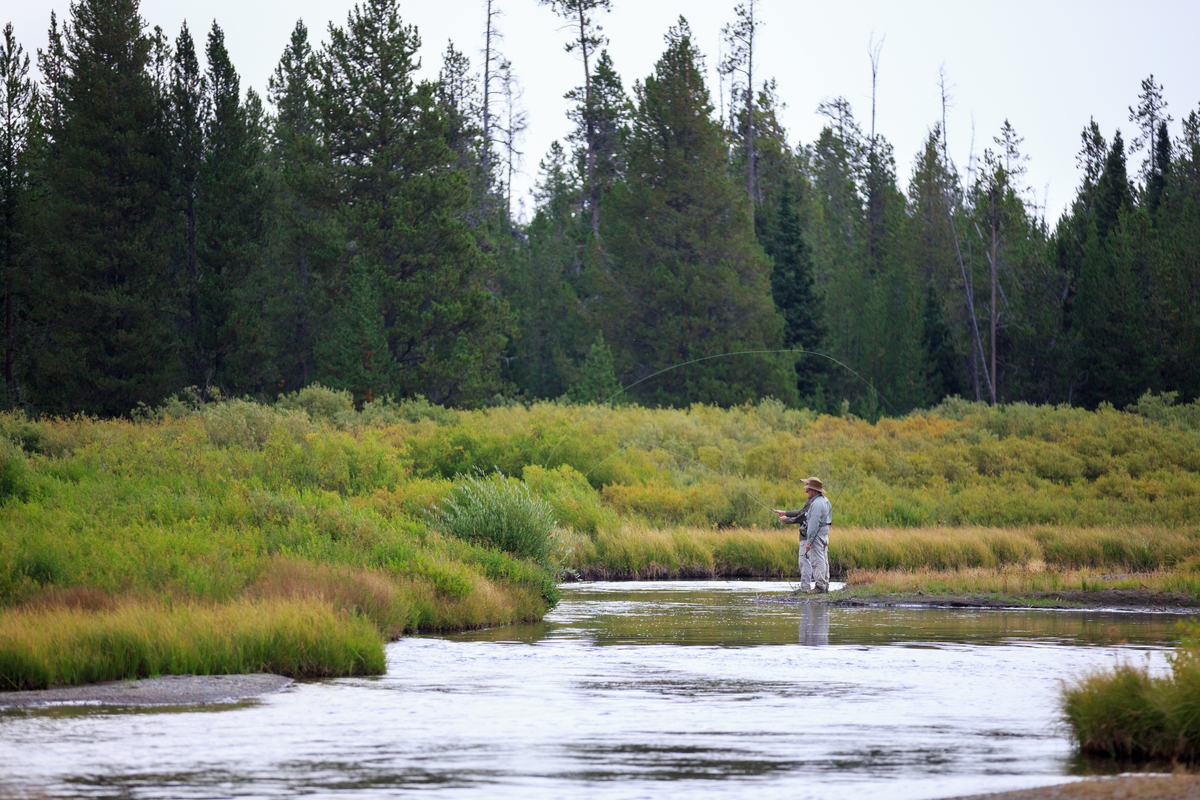 Fly Fishing